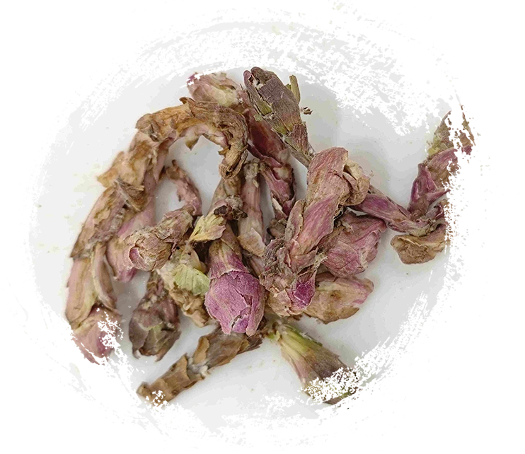 款冬花（kuǎndōnghuā）