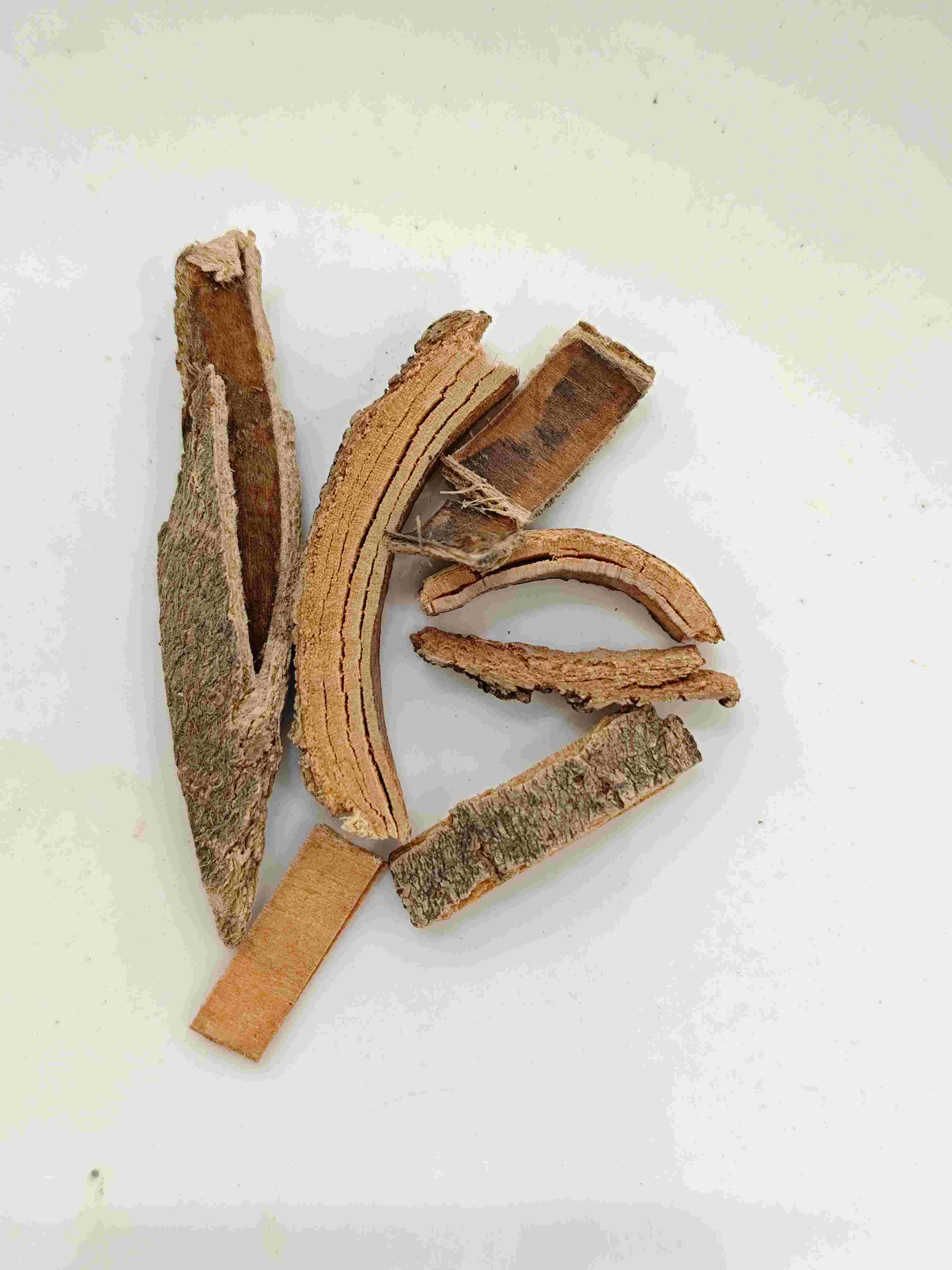 秦皮（QínPí）
