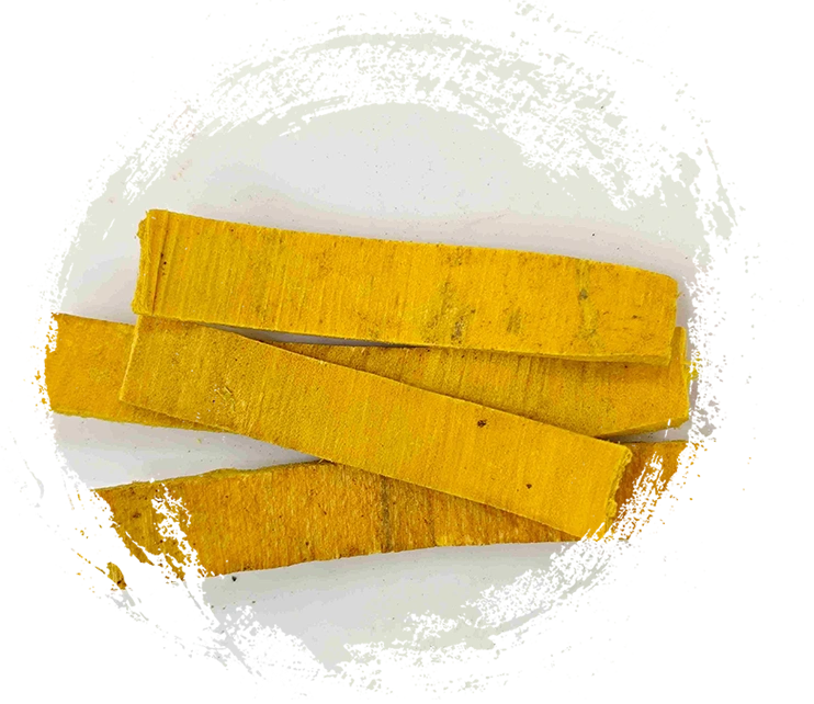 黃柏（Huángbò）