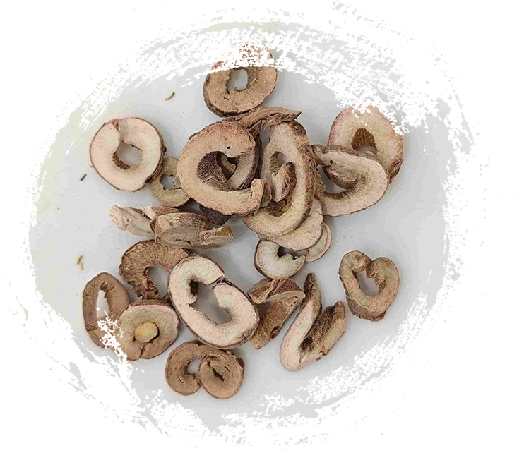 牡丹皮（mǔdānpí）