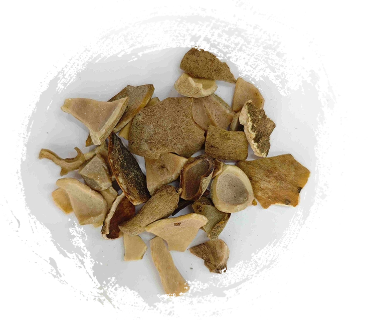 你該知道的五倍子七大健康益處