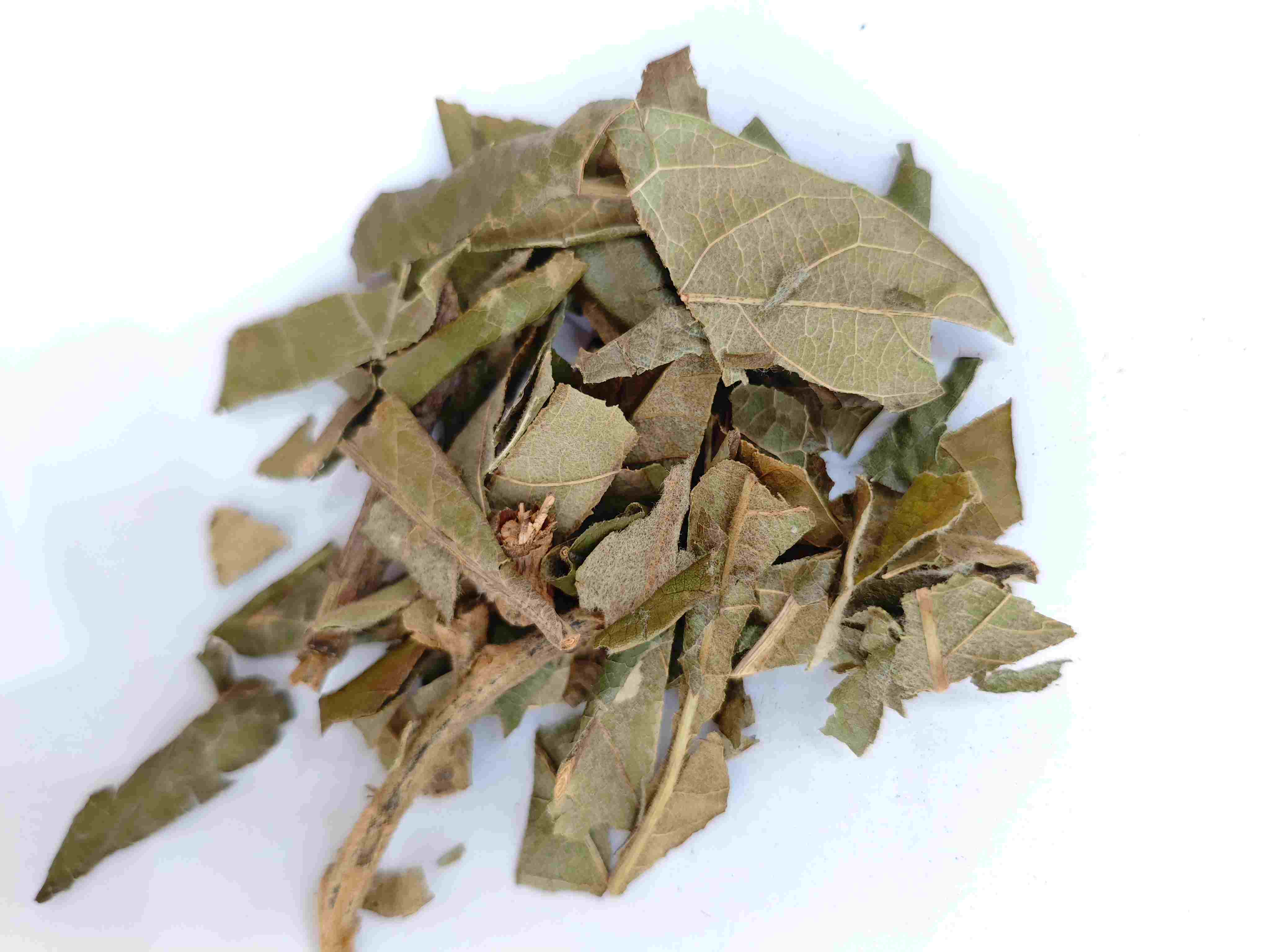 枇杷葉（P&iacute;p&aacute;y&egrave;）