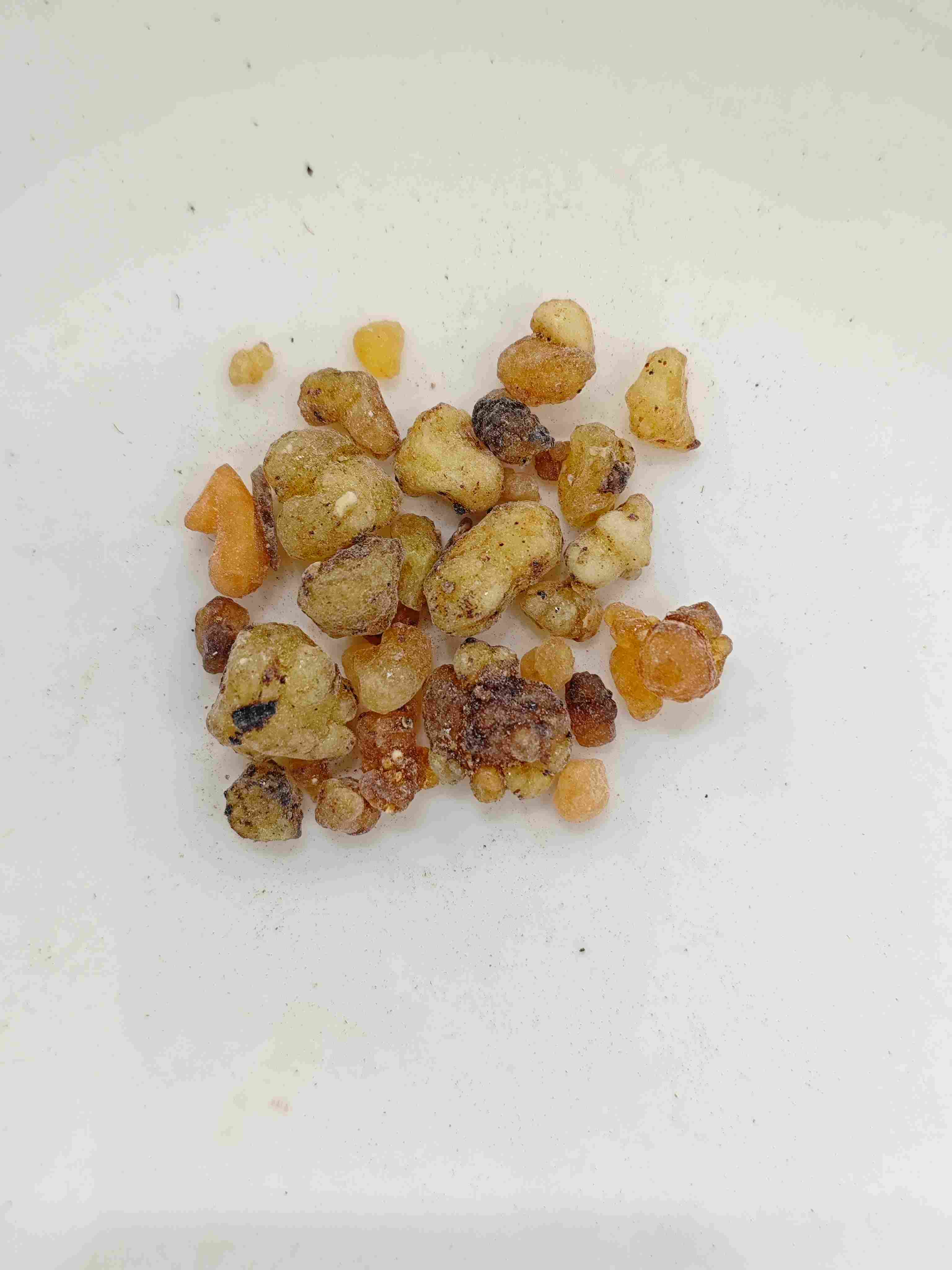 乳香（rǔxiāng）