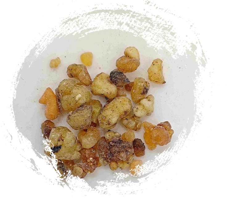 乳香（rǔxiāng）