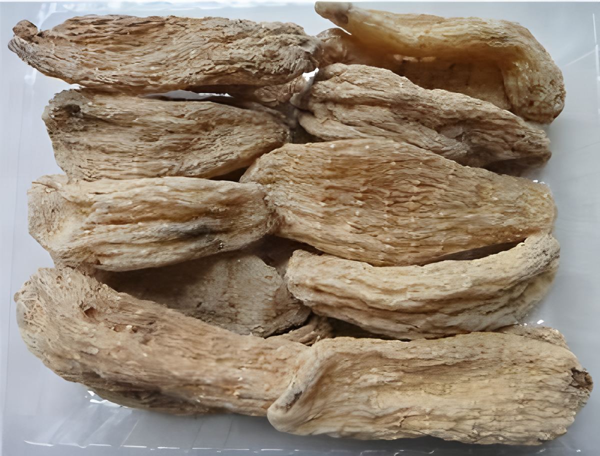 湖北神農架天麻
